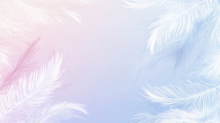 Obraz premium Delicate white feathers on a soft pastel background