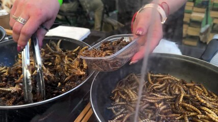 Street food vendor filling plastic takeaway boxes with freshly fried mealworms and crickets, highlighting emerging global culinary trends of entomophagy and sustainable protein consumption