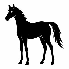 Elegant Horse Silhouette Design