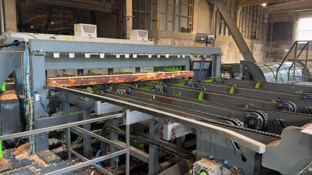 Industrial machinery systematically processing raw lumber, moving wooden materials along conveyor belt for precision cutting and manufacturing preparation