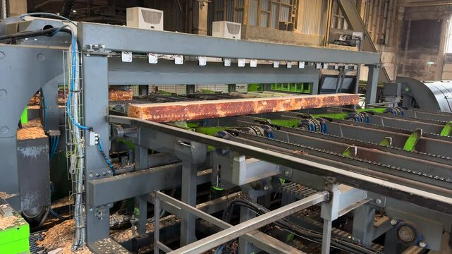 Modern sawmill using automated machinery for efficiently transporting and processing raw lumber through complex industrial conveyor systems, revealing precise wood manufacturing workflow