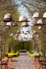 Słomiane kapelusze wiszące na drzewie, wiosenny park, wiosenne tło © Elżbieta Kaps