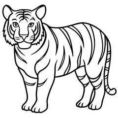 Fierce Tiger Outline Design