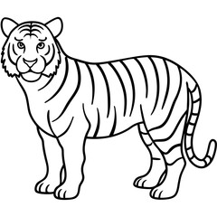 Fierce Tiger Outline Design