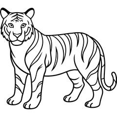 Fierce Tiger Outline Design