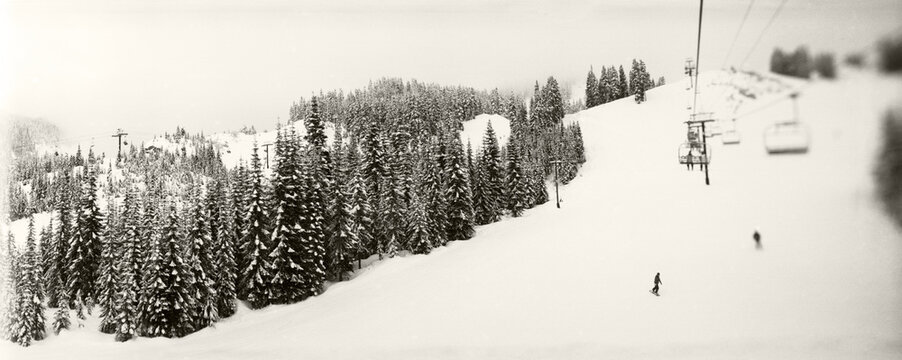 Black and white panoramic view of chair lift and snowy evergreen trees, Washington State, USA