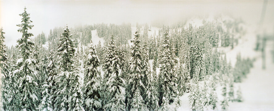 Panoramic snow covered landscape, Cascade mountains, Washington State, USA