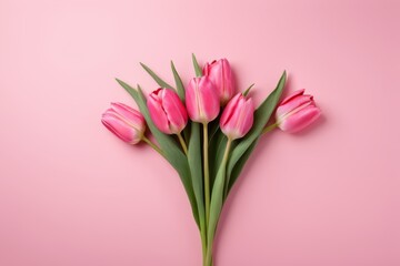 there are pink tulips on a pink background with a green stem