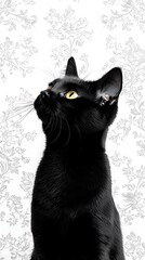 Black Cat Looking Up