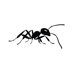 Ant walking black silhouette of simple minimal vector white background