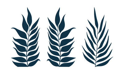 palm leaf vector, tropical foliage silhouette, botanical leaf clipart