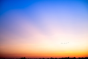 Beautiful , luxury soft gradient orange gold clouds and sunlight on the blue sky perfect for the...