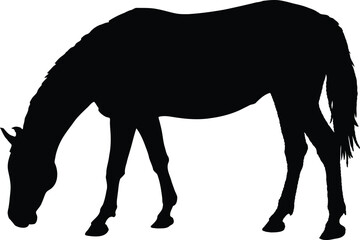 Obraz premium Grazing Horse Silhouette - Vector Design for Wildlife, Farm Animals, and Nature Themes