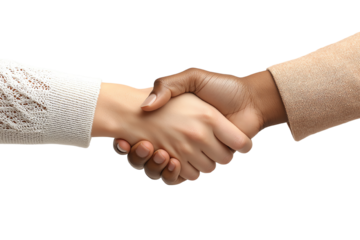 🤝🤝Handshake for Unity and Partnership: An elegant handshake, a symbol of agreement, collaboration and mutual respect. The clasped hands, a demonstration of agreement and business partnership.