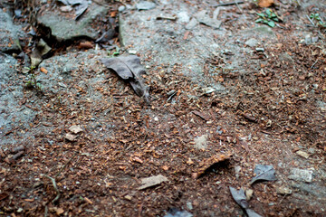 Dilapidated dirty soil on a black background