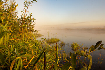 Morning fog on the lake at dawn. Colourful glow in the sky, with surrounding forest trees reflected...