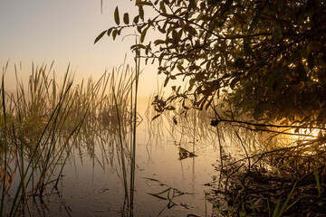 Morning fog on the lake at dawn. Colourful glow in the sky, with surrounding forest trees reflected...