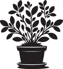 Obraz premium A black silhouette of a potted plant with rounded leaves on a white background illustration art