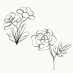 A vector floral illustration features a hand-drawn rose flower with leaf details, showcasing a vintage sketch in a natural design