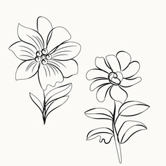 Vector floral illustration of a white blossom on a nature-inspired background
