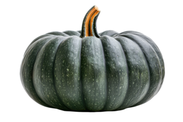 Green acorn squash (1) isolated on PNG transparent background, cut out