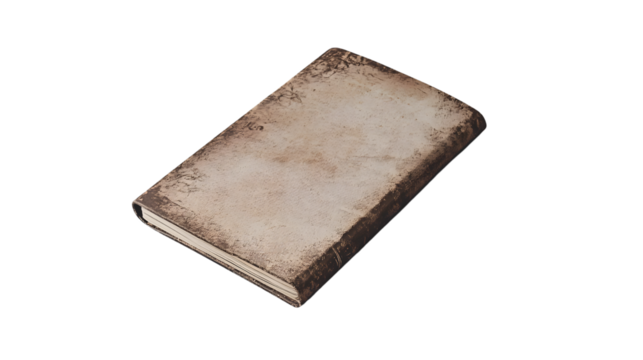 Professional Passport Photo on White Background for Identification and Travel Purposes