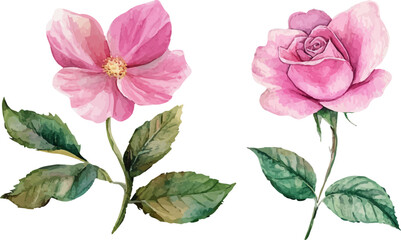 Fototapeta premium set of pink flowers