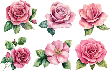 seamless pattern with roses