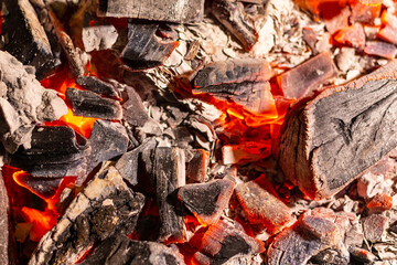 burning coals. the tree is on fire. fire and coals. red flame. ash.