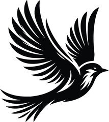 Fototapeta premium Bird in Flight Silhouette with Graceful Wing Spread