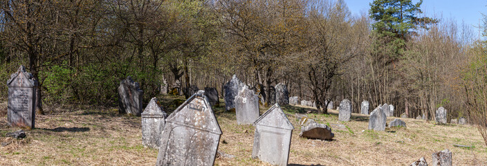 Matzevot at neglected Jewish cemetery in Checiny, Poland.