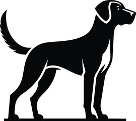 Drever Standing Alert Silhouette Vector Illustration