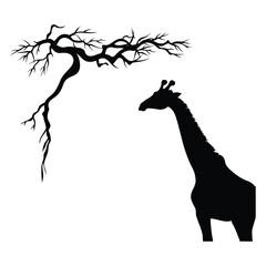 Branch who eating giraffe vector black color silhouette