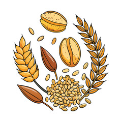 Cartoon Wheat, Almond and Seeds Circle Composition on a Clean, White Background