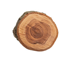 Fototapeta premium Small plum tree log cross section with smooth surface isolated on transparent background with clipping path included