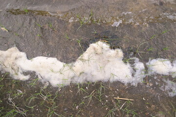 sea ​​foam. foam on the shore. river water with foam. white foam on the sand. brown sand on the...