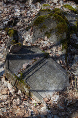 Matzevot at neglected Jewish cemetery in Checiny, Poland.
