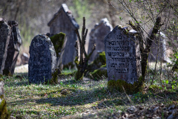 Matzevot at neglected Jewish cemetery in Checiny, Poland.