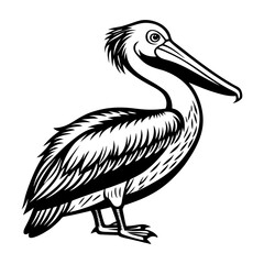 Download Pelican Bird Vector Art Illustration    Eps File For Design.