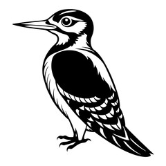 Download Woodpecker Vector Art And Illustration Eps File For Design.