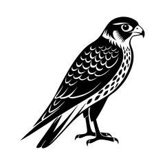 Download Kestrel Bird Vector Art And Illustration   White Background Eps File For Design.