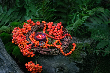burning magic black candle and pentacle amulet, ripe rowan tree berries in forest. Magic,...