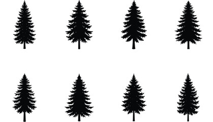 Green cannabis leaves, a natural marijuana plant foliage