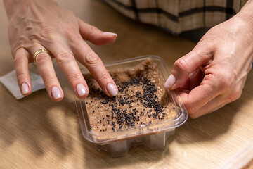 Person plants seeds of micro greens to the jute mat. Hobby