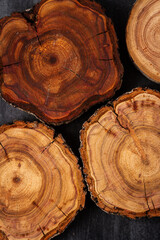 Wood log tree slices on black chalkboard. Flat lay. Top view
