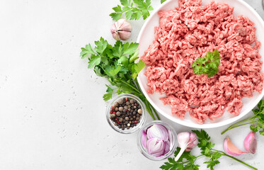 Raw minced meat on plate