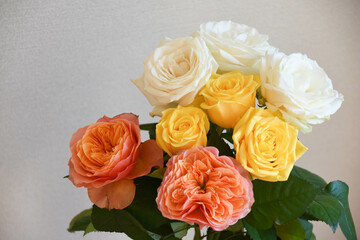 カラフルな薔薇
