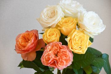 カラフルな薔薇