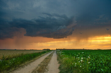 Aufwindbasis eines Gewitters in der Abendsonne mit einem Feldweg