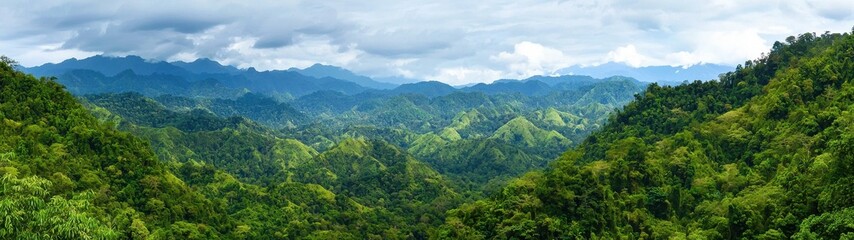 Lush Green Mountain Landscape Under Cloudy Sky in Vibrant Nature